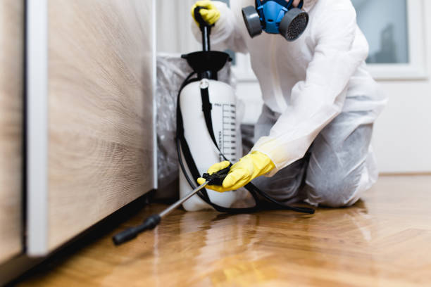 Best Pest Control Near Me  in Mclean, VA