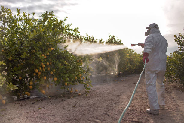 Best Emergency Pest Control  in Mclean, VA