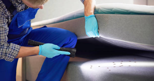 Best Affordable Pest Control Services  in Mclean, VA