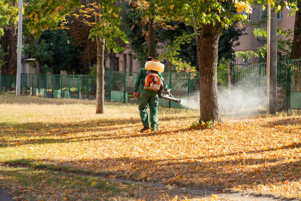 Best Emergency Pest Control  in Mclean, VA